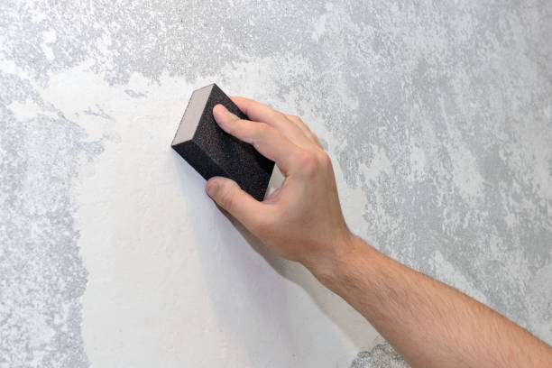 Best Mold Prevention Services  in Wasilla, AK