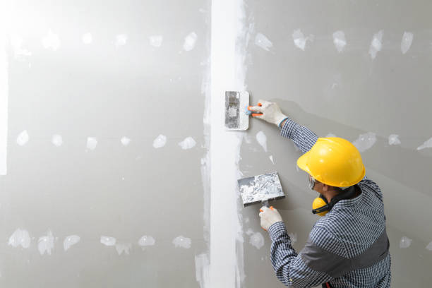 Best Mold Removal for HVAC Installations  in Wasilla, AK