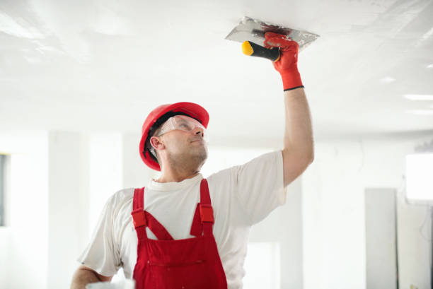 Best Asbestos and Lead Testing During Mold Inspection  in Wasilla, AK