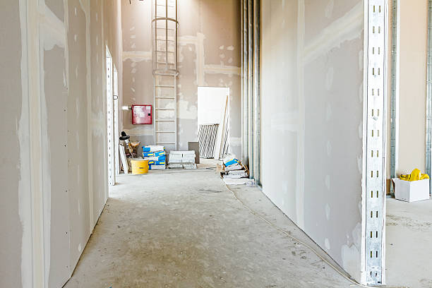 Best Industrial Mold Remediation  in Wasilla, AK