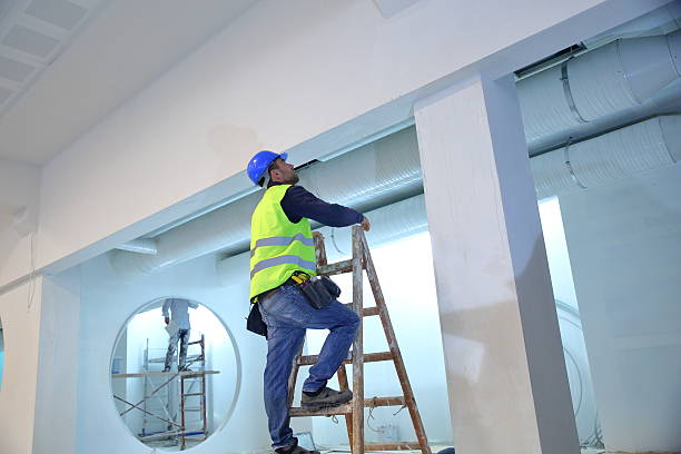Reliable Wasilla, AK Mold Removal Solutions