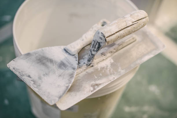 Best Airborne Mold Testing  in Wasilla, AK