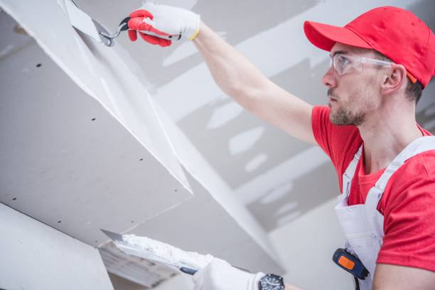 Best Environmental Consulting for Mold Prevention  in Wasilla, AK